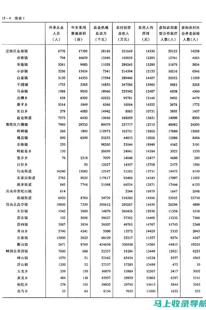 乡镇统计站长：保障数据质量，促进地方经济发展